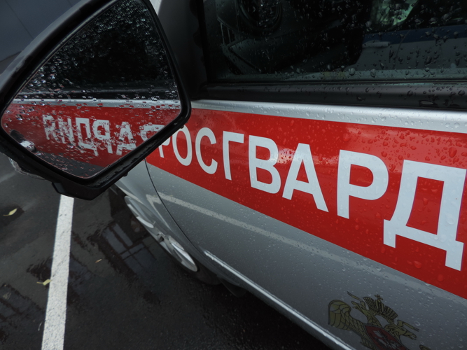 В Зеленодольском районе Татарстана росгвардейцы задержали двух подозреваемых в краже с территории частного дома пенсионерки 