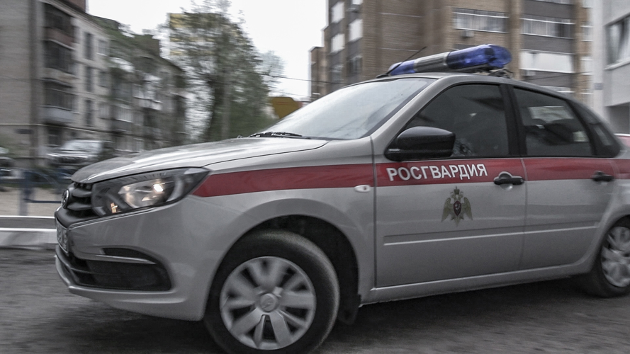 В Татарстане сотрудники Росгвардии задержали троих подозреваемых в кражах из сетевых гипермаркетов