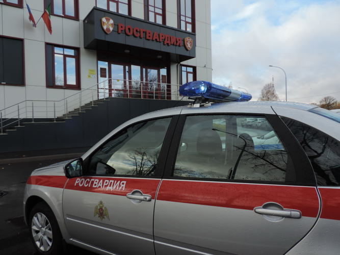 В Кукморском районе Татарстана росгвардейцы задержали нетрезвого подозреваемого в ножевом ранении своего брата