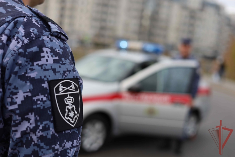 В Набережных Челнах сотрудники вневедомственной охраны Росгвардии задержали судимую женщину,  подозреваемую в краже из строительного гипермаркета