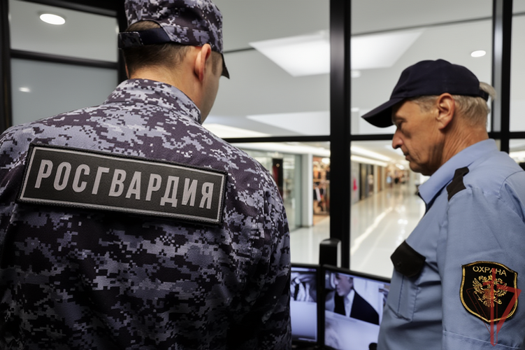 В Набережных Челнах росгвардейцы задержали неоднократно судимого мужчину, подозреваемого в краже из сетевого гипермаркета 